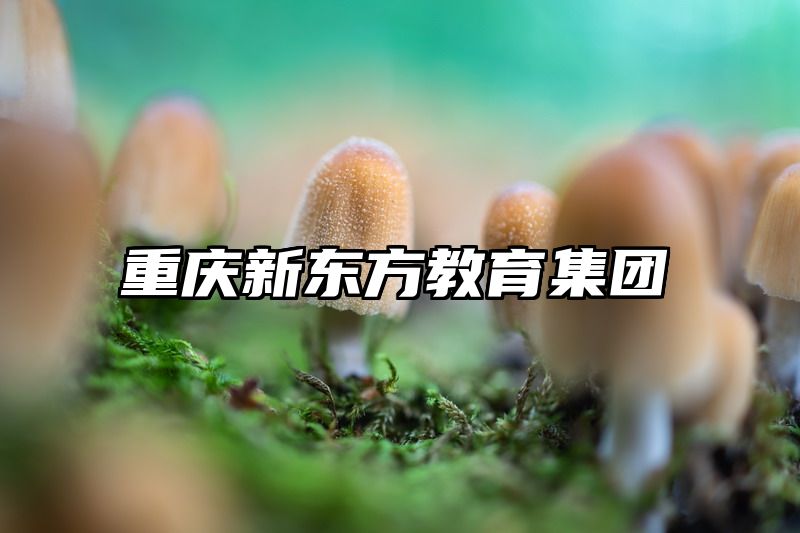 点击查看《重庆新东方教育集团》全文