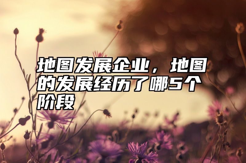 地图发展企业，地图的发展经历了哪5个阶段