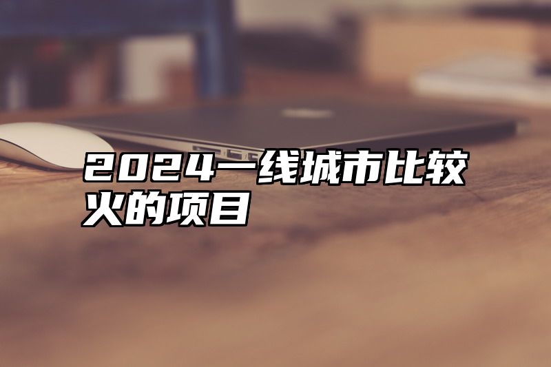 2024一线城市比较火的项目