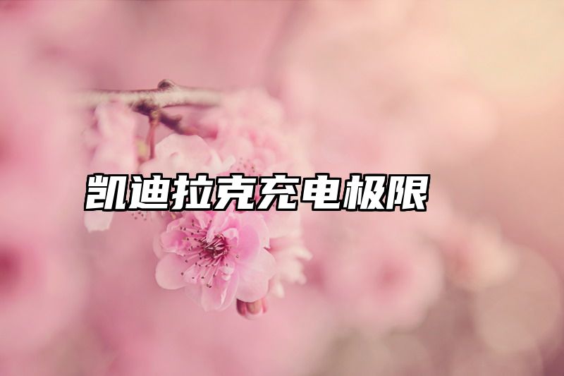 凯迪拉克充电极限