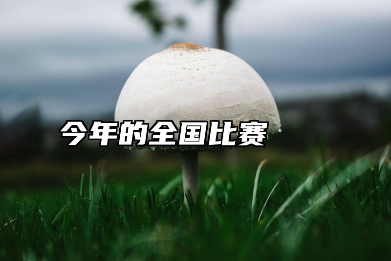 今年的全国比赛
