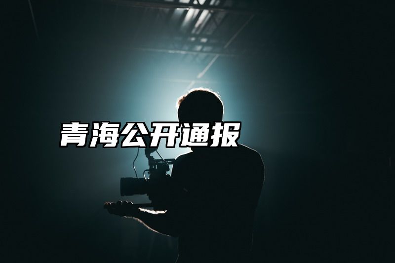 青海公开通报