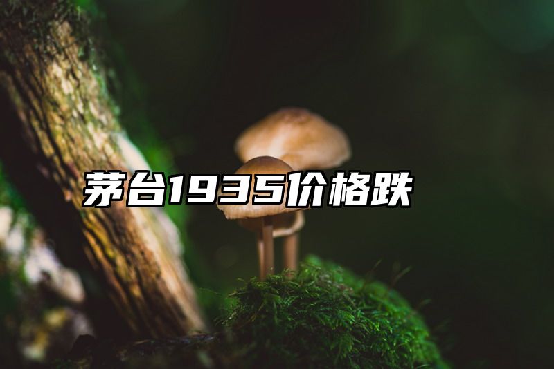 茅台1935价格跌