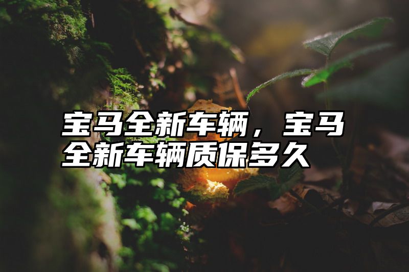 点击查看《宝马全新车辆，宝马全新车辆质保多久》全文