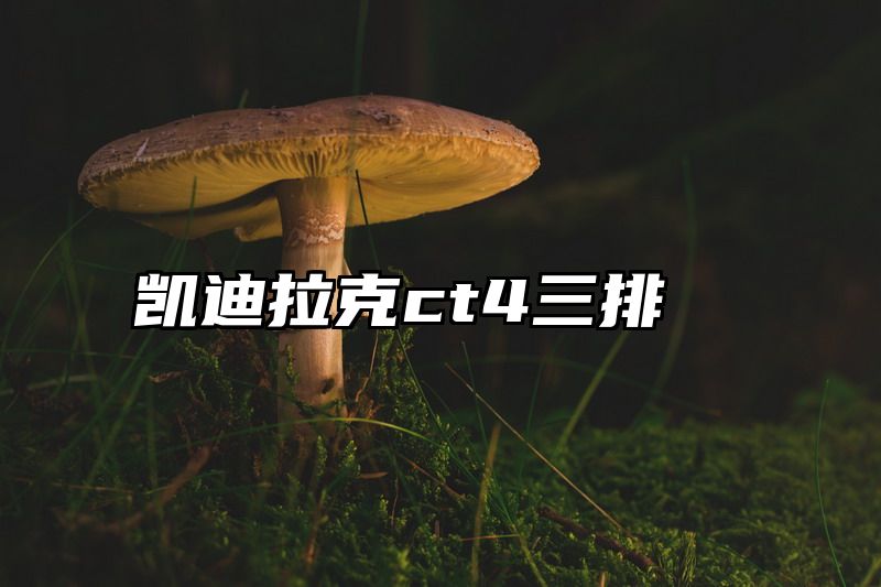 凯迪拉克ct4三排