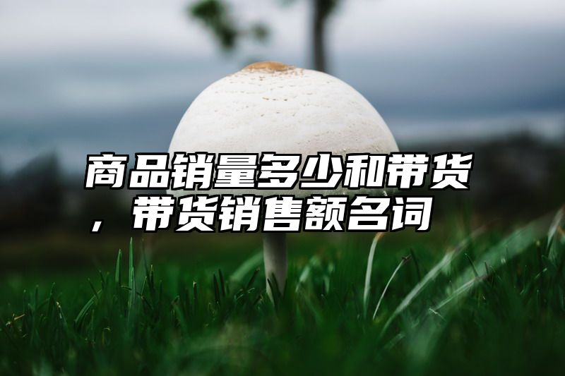 商品销量多少和带货，带货销售额名词
