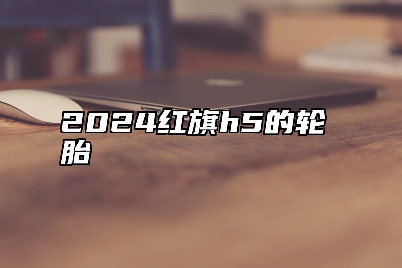 2024红旗h5的轮胎