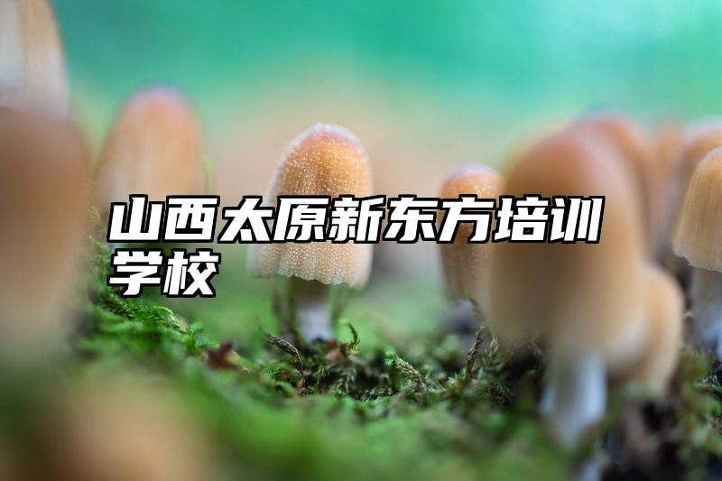 山西太原新东方培训学校