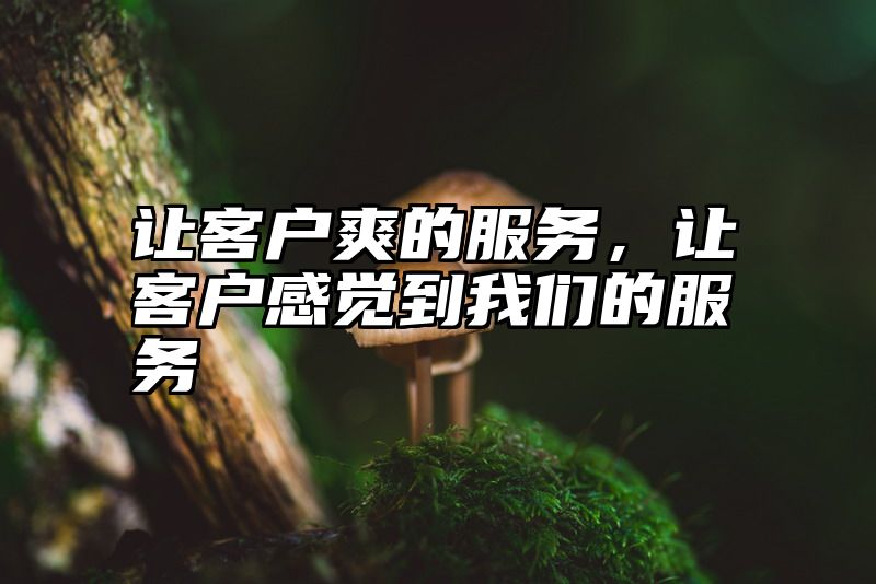 让客户爽的服务，让客户感觉到我们的服务