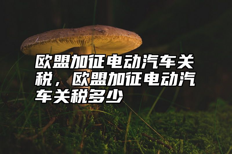 欧盟加征电动汽车关税，欧盟加征电动汽车关税多少