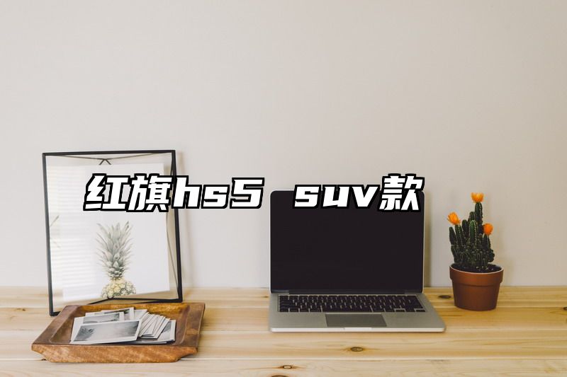 红旗hs5 suv款