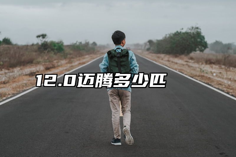 12.0迈腾多少匹