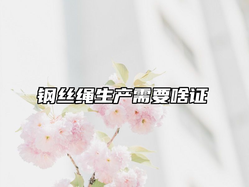 钢丝绳生产需要啥证
