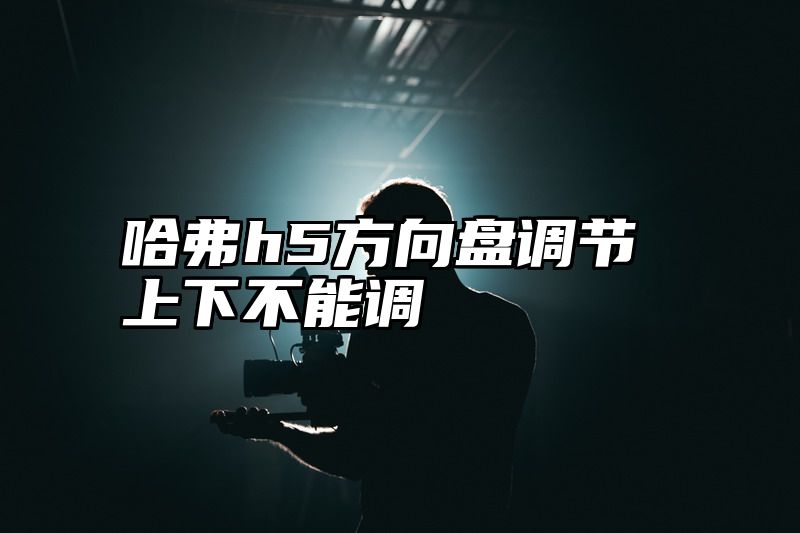 哈弗h5方向盘调节上下不能调