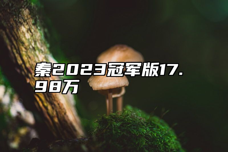 秦2023冠军版17.98万