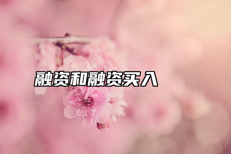 融资和融资买入