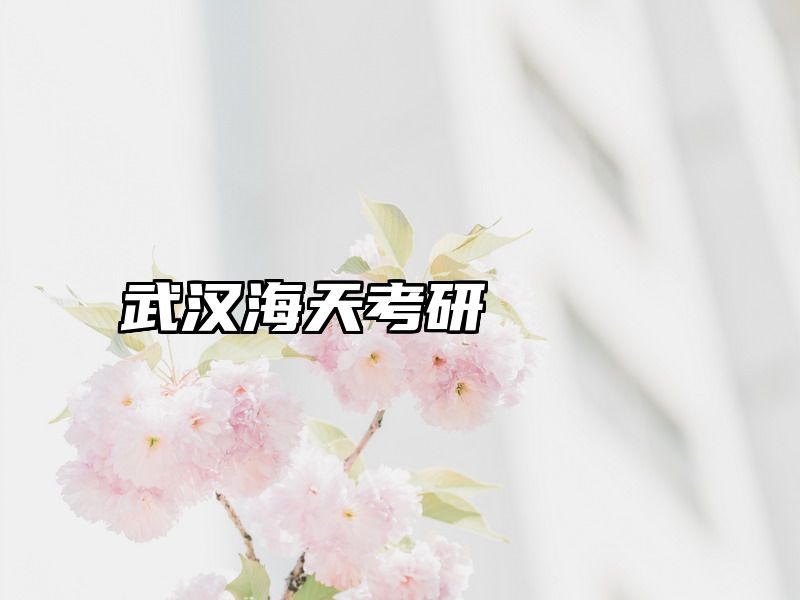 点击查看《武汉海天考研》全文