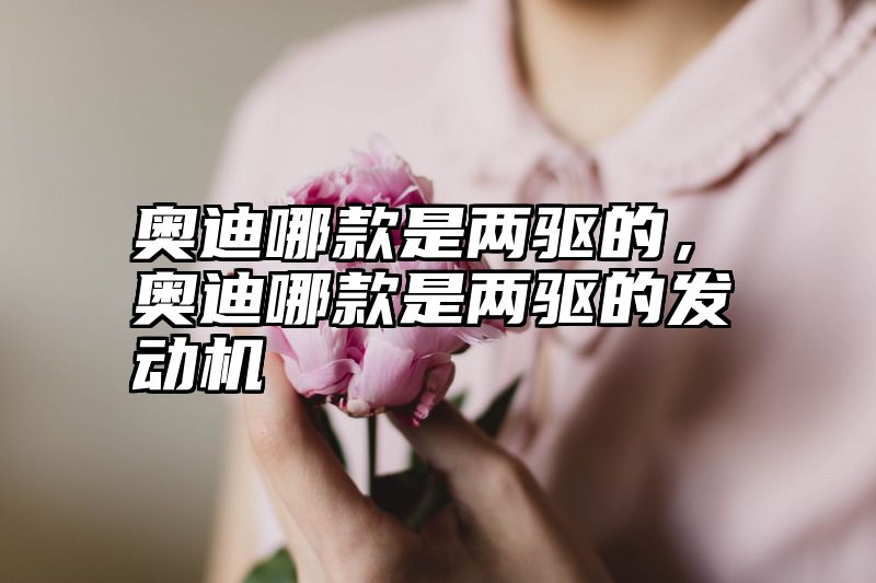 奥迪哪款是两驱的，奥迪哪款是两驱的发动机
