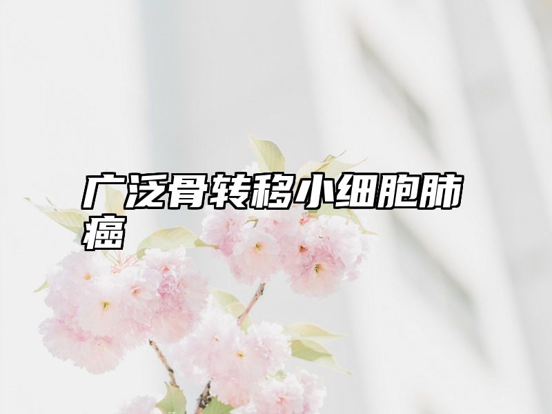 广泛骨转移小细胞肺癌