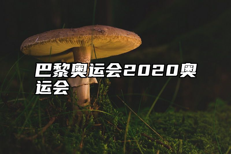 点击查看《巴黎奥运会2020奥运会》全文
