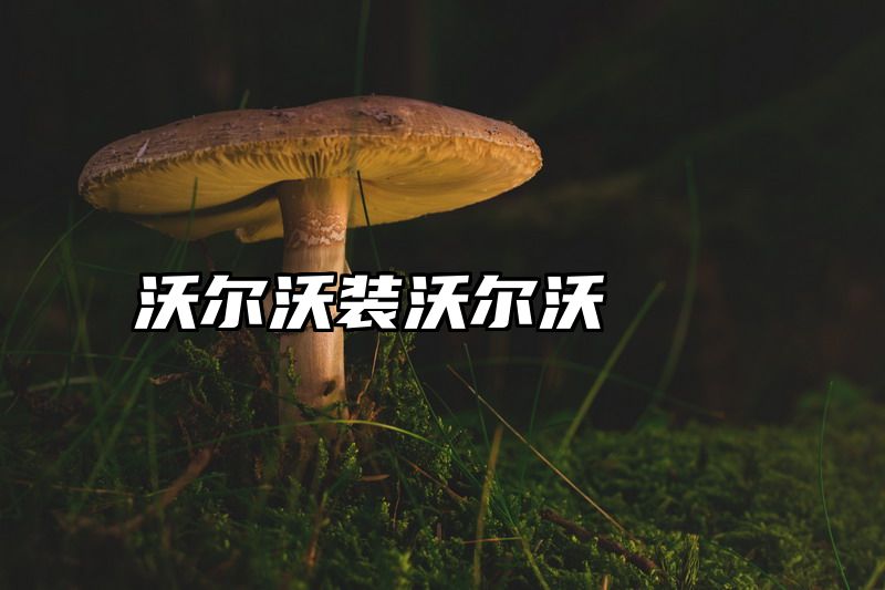 沃尔沃装沃尔沃