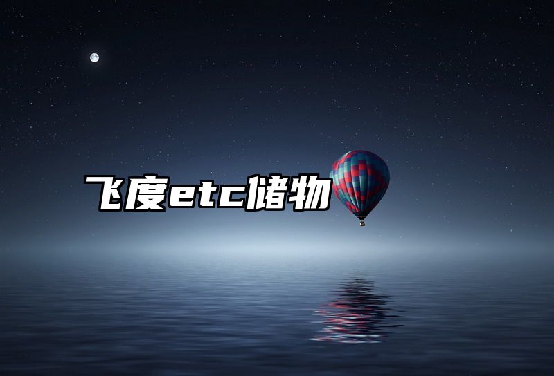 飞度etc储物