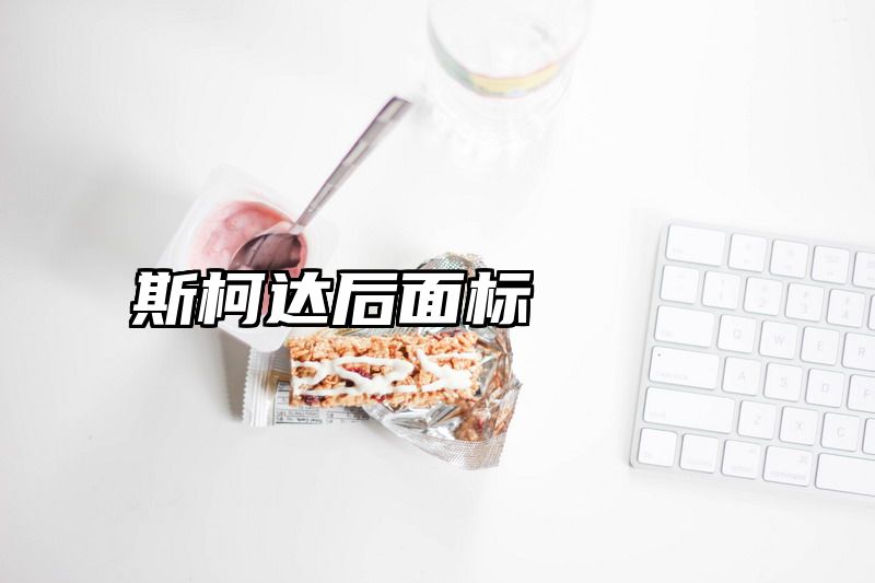 斯柯达后面标