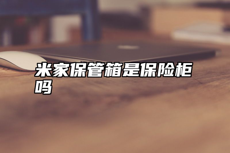 米家保管箱是保险柜吗