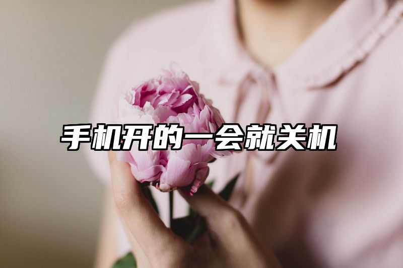 手机开的一会就关机