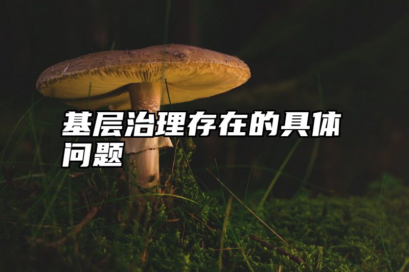 基层治理存在的具体问题