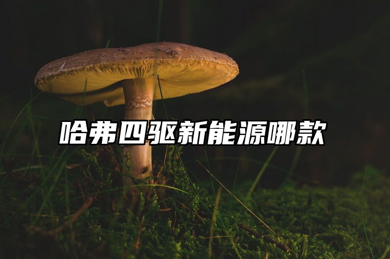 哈弗四驱新能源哪款