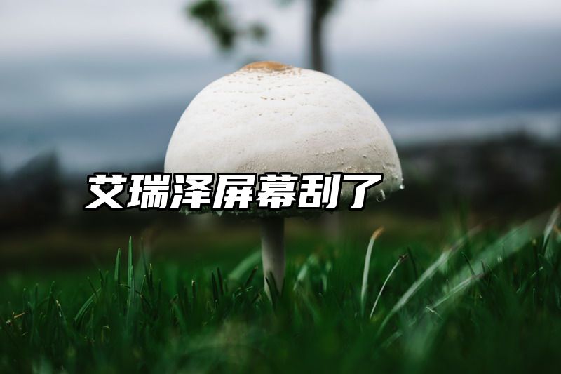艾瑞泽屏幕刮了