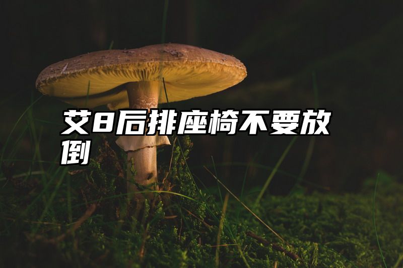 艾8后排座椅不要放倒
