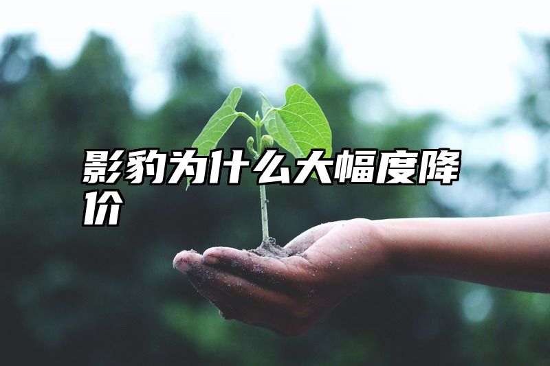 影豹为什么大幅度降价
