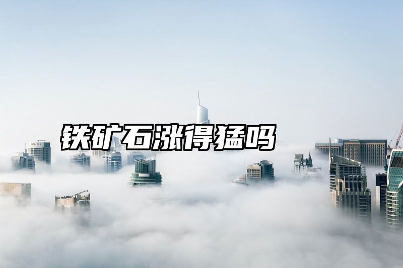 铁矿石涨得猛吗