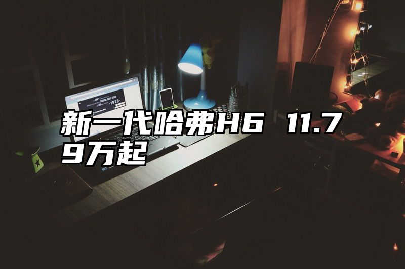 新一代哈弗H6 11.79万起