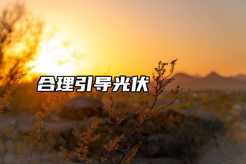 合理引导光伏