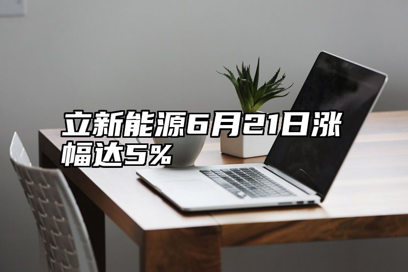 立新能源6月21日涨幅达5%