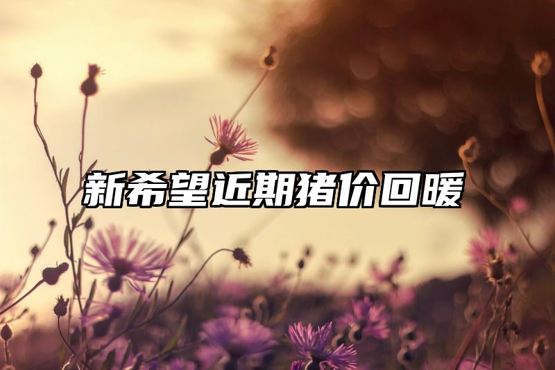 新希望近期猪价回暖