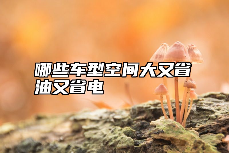 哪些车型空间大又省油又省电