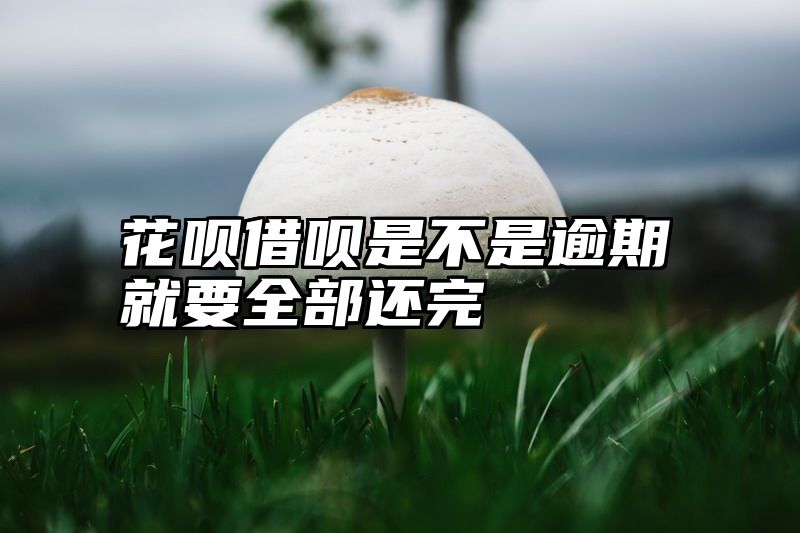 花呗借呗是不是逾期就要全部还完