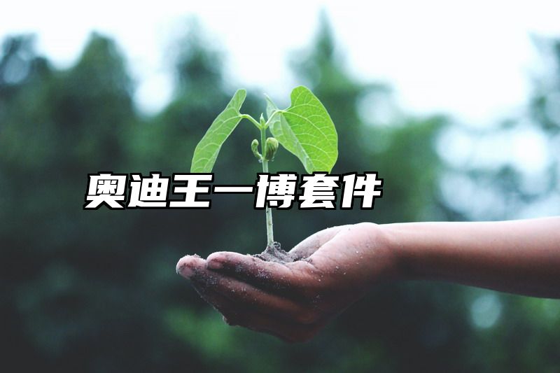 奥迪王一博套件