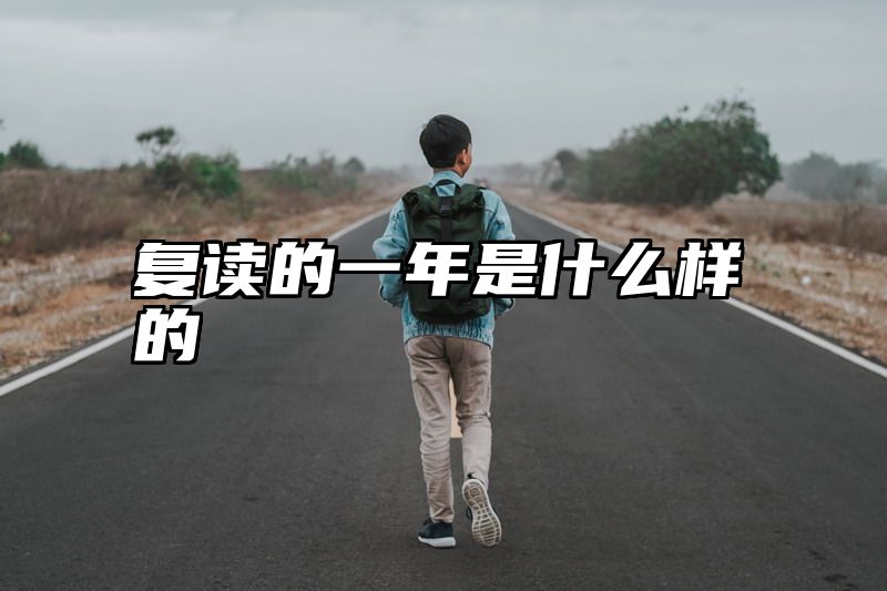 复读的一年是什么样的