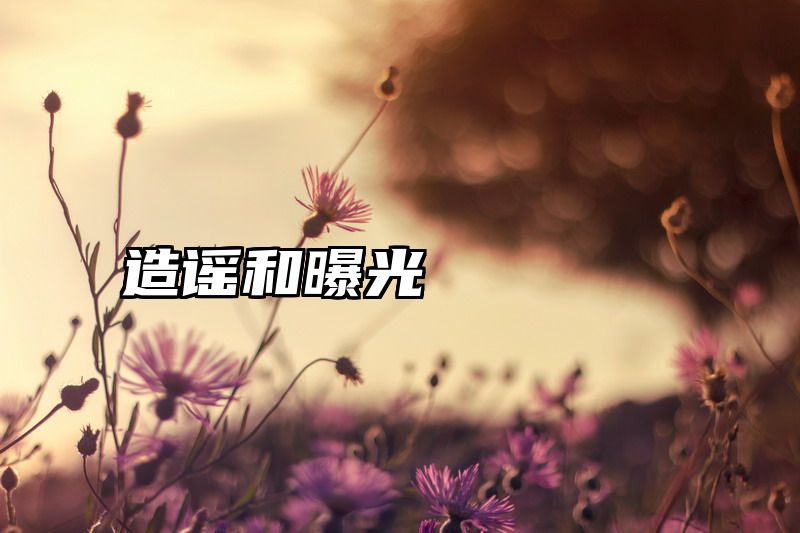 造谣和曝光