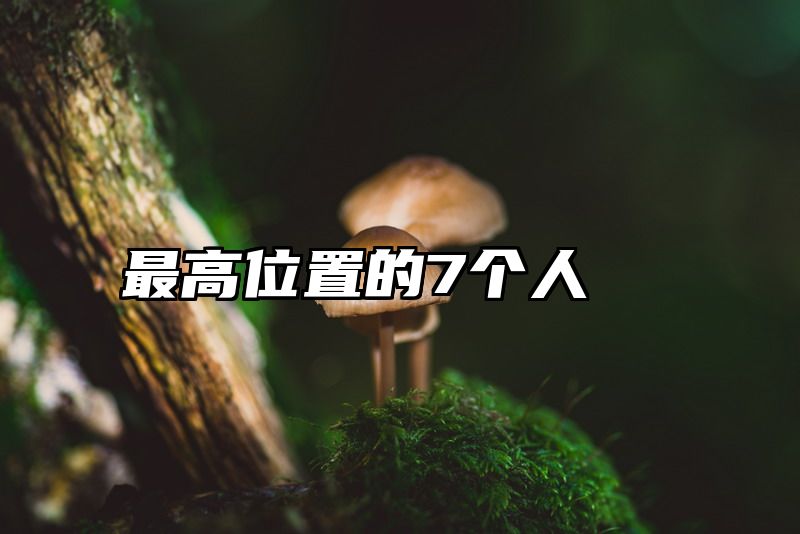 最高位置的7个人