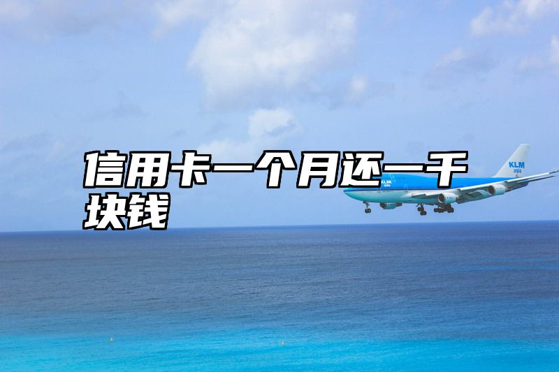信用卡一个月还一千块钱