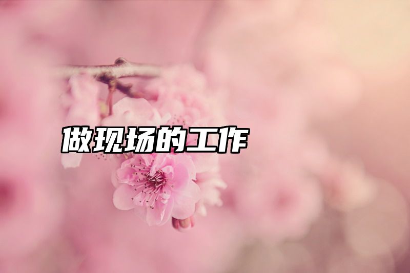 做现场的工作