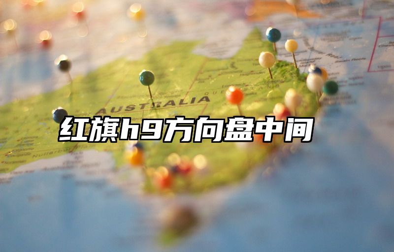 红旗h9方向盘中间