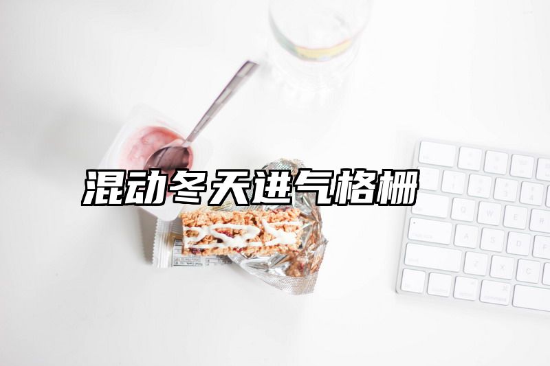 混动冬天进气格栅