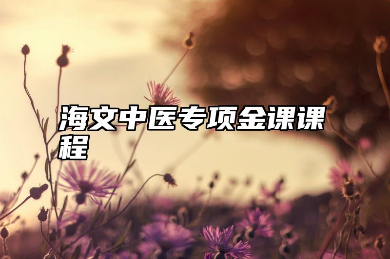 海文中医专项金课课程